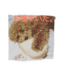 銀次さん（個別スタンプ：1）