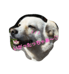 そらこのずーずー弁（個別スタンプ：4）