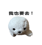 Hello everyone I'm A-ta（個別スタンプ：13）