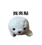 Hello everyone I'm A-ta（個別スタンプ：19）