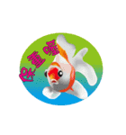 Colorful of fish（個別スタンプ：5）