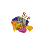 Colorful of fish（個別スタンプ：6）