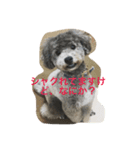 今日のふらんちゅ（個別スタンプ：1）