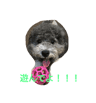 今日のふらんちゅ（個別スタンプ：2）