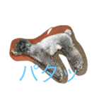 今日のふらんちゅ（個別スタンプ：4）