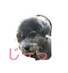 今日のふらんちゅ（個別スタンプ：8）
