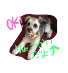 ミックス犬のミック（個別スタンプ：4）