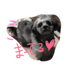 ミックス犬のミック（個別スタンプ：6）