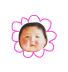 Hiromi's stickers（個別スタンプ：32）