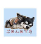 チワワのさーくん.（個別スタンプ：13）