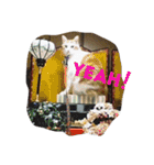 フランソワ（個別スタンプ：5）