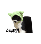 猫の名はおいも（個別スタンプ：11）