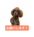 ゆかいなファミリー（個別スタンプ：1）
