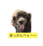 ゆかいなファミリー（個別スタンプ：14）