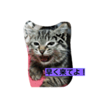 ねこの返事（個別スタンプ：6）