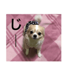 しあくん（個別スタンプ：6）