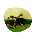 可愛いダックス3（個別スタンプ：7）