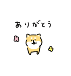 ゆる柴犬スタンプ2（個別スタンプ：5）