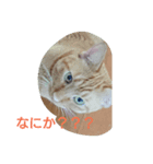 はれのスタンプ（個別スタンプ：2）