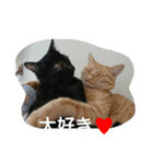はれのスタンプ（個別スタンプ：4）