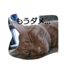 はれのスタンプ（個別スタンプ：5）