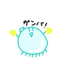 イカチャンスタンプ（個別スタンプ：6）
