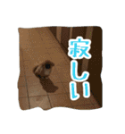 愛犬ボス2（個別スタンプ：14）