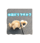 愛犬ボス2（個別スタンプ：18）