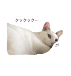 おにs スタンプ（個別スタンプ：16）