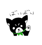 毎日黒柴！！（個別スタンプ：4）