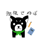 毎日黒柴！！（個別スタンプ：35）