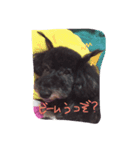 かしすくん。（個別スタンプ：6）