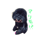 かしすくん。（個別スタンプ：8）