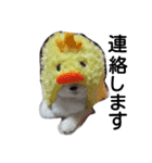 ハナとともだちパート2（個別スタンプ：6）