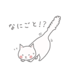 白ねこ「ましろさん」のほのぼのスタンプ（個別スタンプ：11）