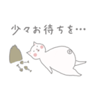 白ねこ「ましろさん」のほのぼのスタンプ（個別スタンプ：39）