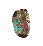猫猫猫猫猫可愛いでしょ？（個別スタンプ：7）