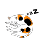 C.A.T.S（個別スタンプ：3）