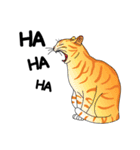 C.A.T.S（個別スタンプ：8）