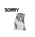 C.A.T.S（個別スタンプ：10）