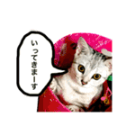 こむぎとこまち 2（個別スタンプ：7）