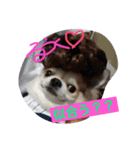 るうく♡1（個別スタンプ：3）