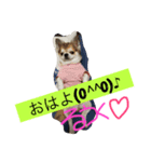 るうく♡1（個別スタンプ：4）