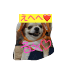 るうく♡1（個別スタンプ：5）