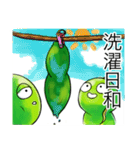 こまめにお豆（個別スタンプ：23）