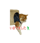 おから・もずく（個別スタンプ：2）