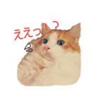 おから・もずく（個別スタンプ：3）