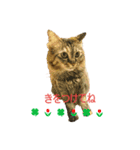 おから・もずく（個別スタンプ：7）