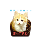 おから・もずく（個別スタンプ：8）