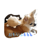 おれ、ちわわのぽてち（個別スタンプ：32）